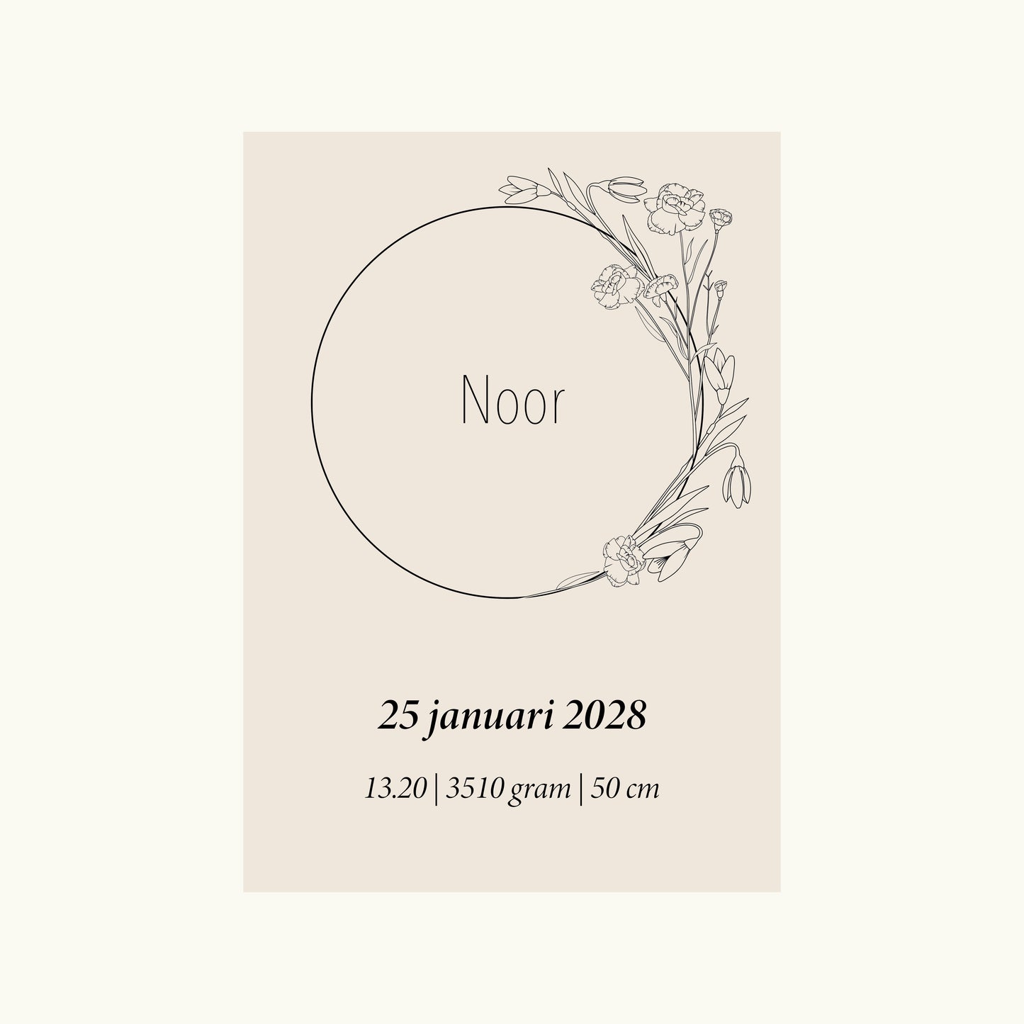 Geboortebloem Januari (Anjer en Sneeuwklokje)