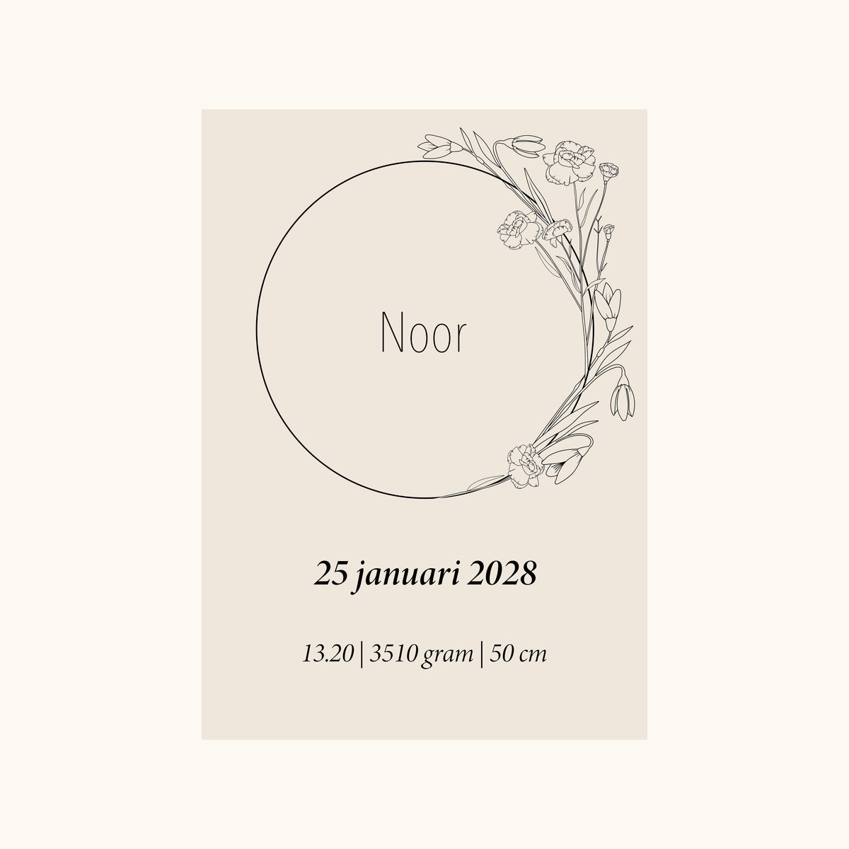 Geboorteposter Geboortebloem Januari (Anjer en Sneeuwklokje)