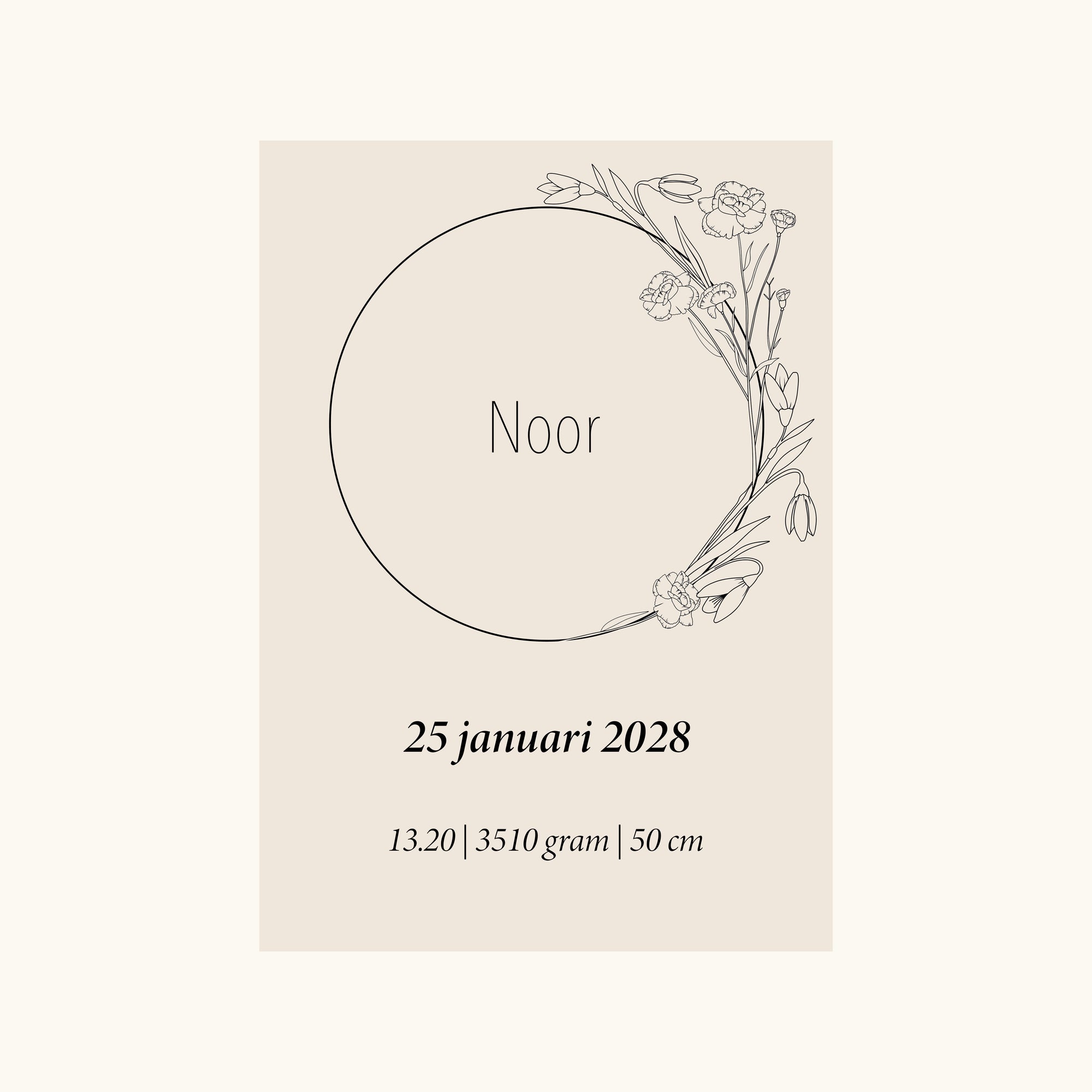 Geboorteposter Geboortebloem Januari (Anjer en Sneeuwklokje)