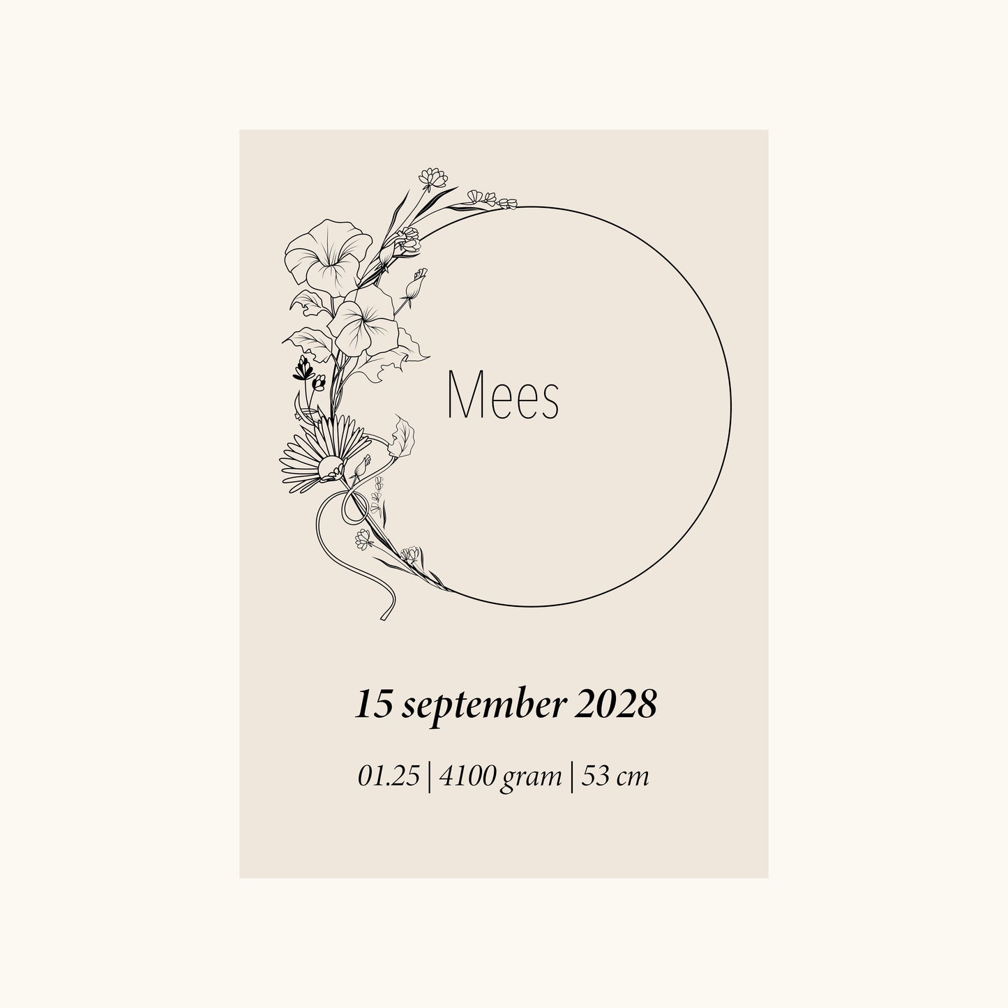 Geboortebloem September (aster en de morning glory, dagbloem)