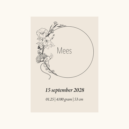 Geboortebloem September (aster en de morning glory, dagbloem)