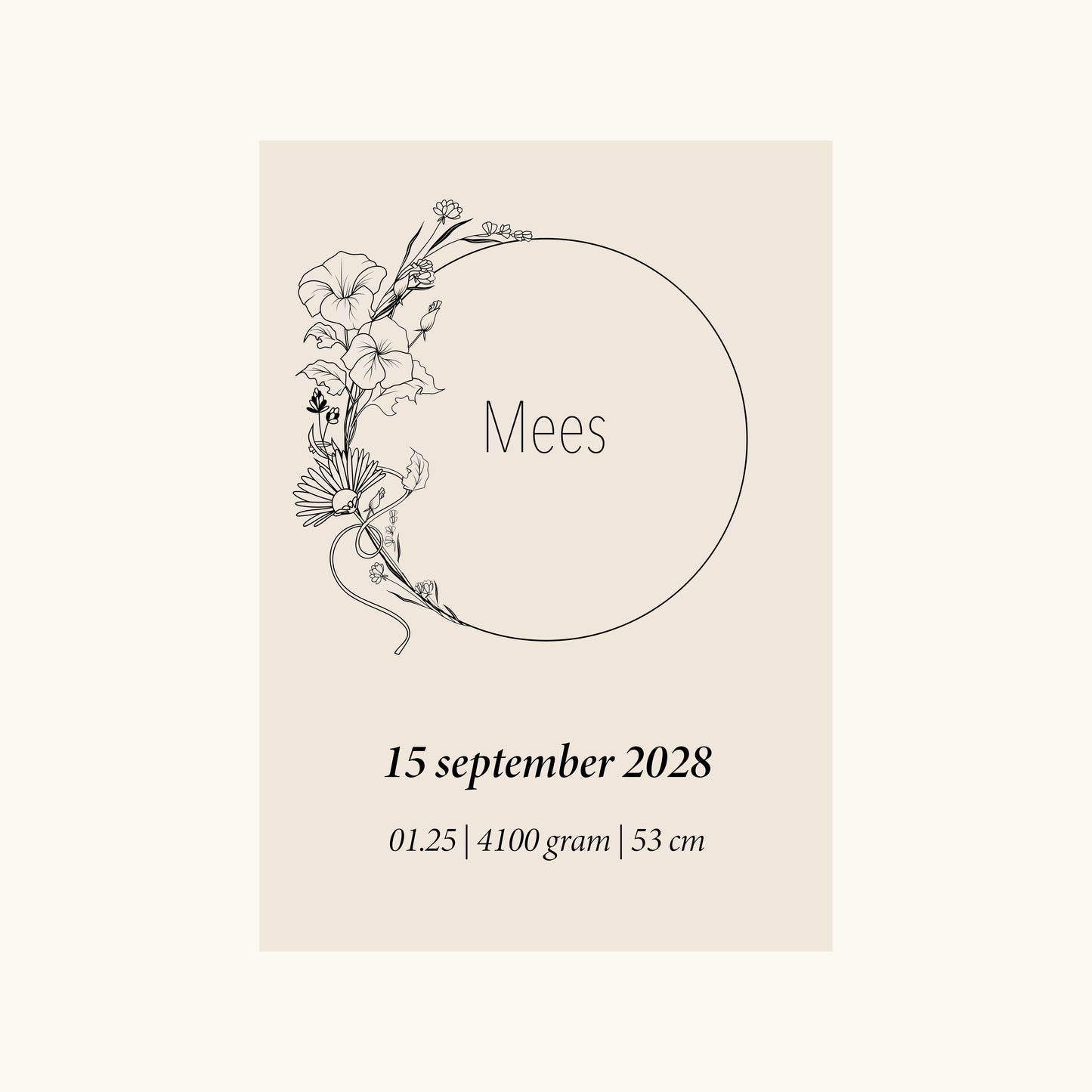 Geboortebloem September (aster en de morning glory, dagbloem)