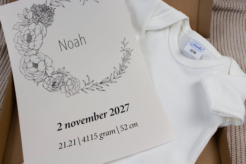 Brievenbus kraamcadeau pakket poster + romper